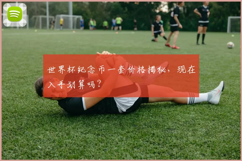 世界杯纪念币一套价格揭秘,现在入手划算吗?