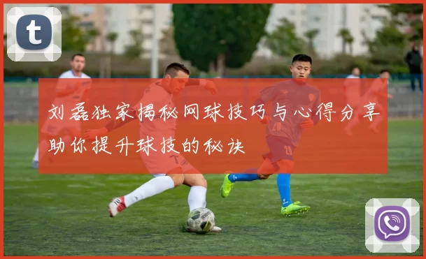 刘磊独家揭秘网球技巧与心得分享助你提升球技的秘诀
