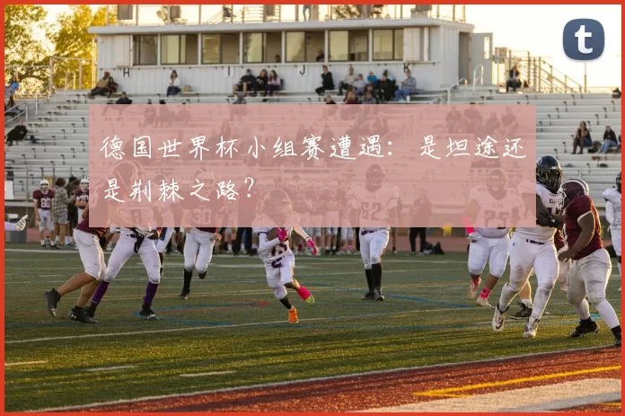 德国世界杯小组赛遭遇:是坦途还是荆棘之路?