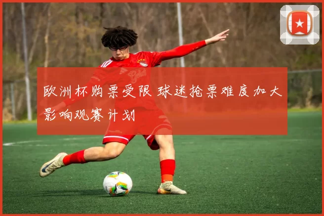 欧洲杯购票受限 球迷抢票难度加大影响观赛计划