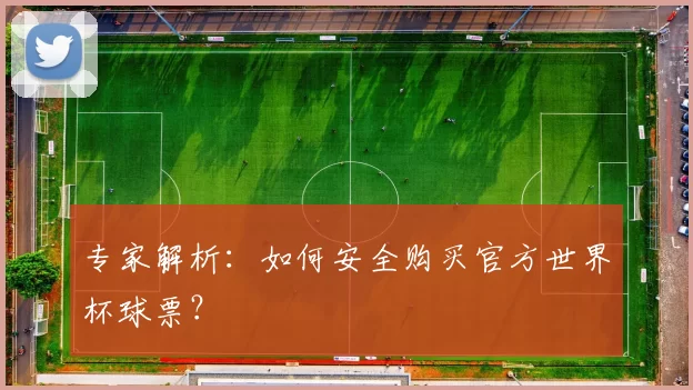专家解析:如何安全购买官方世界杯球票?