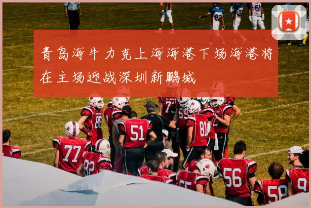 青岛海牛力克上海海港下场海港将在主场迎战深圳新鹏城