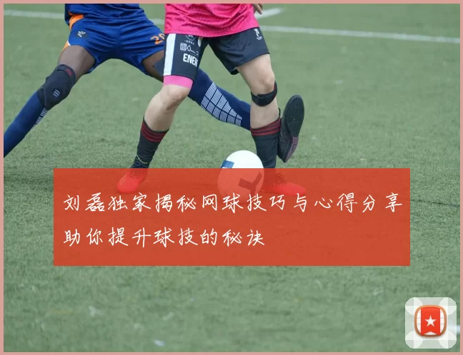 刘磊独家揭秘网球技巧与心得分享助你提升球技的秘诀