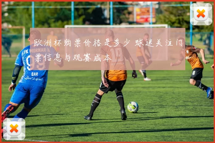 欧洲杯购票价格是多少 球迷关注门票信息与观赛成本