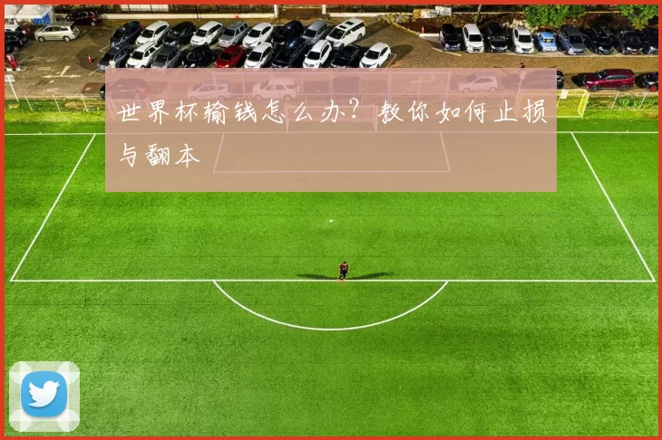 世界杯输钱怎么办？教你如何止损与翻本