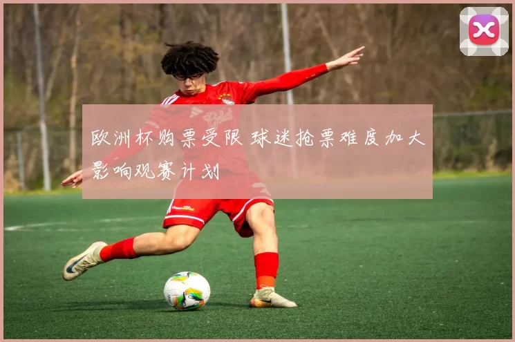 欧洲杯购票受限 球迷抢票难度加大影响观赛计划