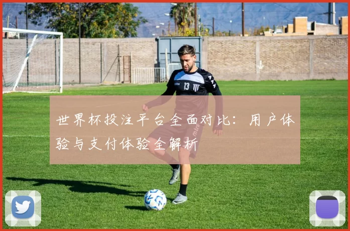 世界杯投注平台全面对比:用户体验与支付体验全解析