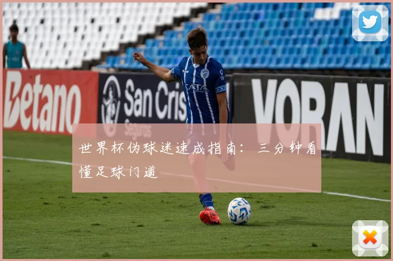 世界杯伪球迷速成指南：三分钟看懂足球门道