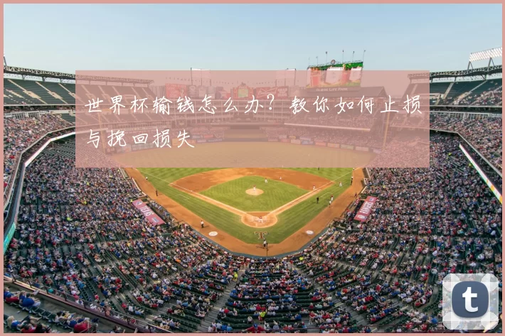 世界杯输钱怎么办?教你如何止损与挽回损失