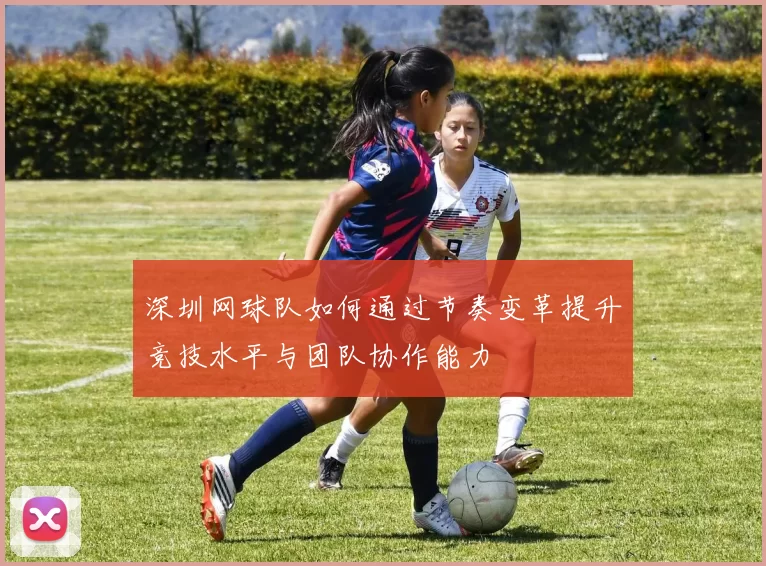 深圳网球队如何通过节奏变革提升竞技水平与团队协作能力