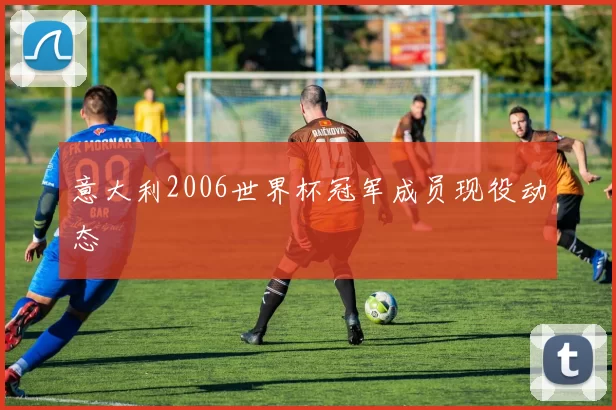 意大利2006世界杯冠军成员现役动态