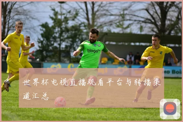 世界杯电视直播观看平台与转播渠道汇总